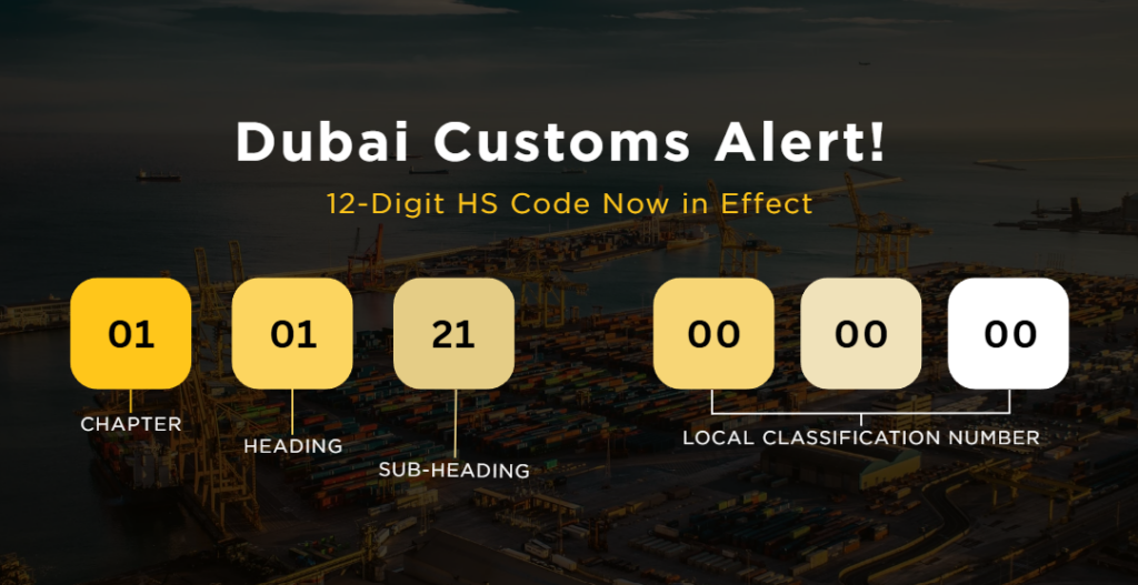 From 8 Digits to 12: Dubai Customs Adopts New HS Code